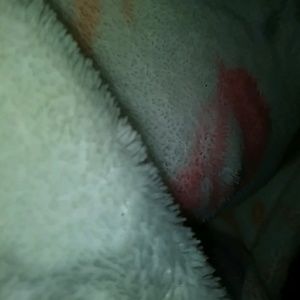 Meet your Posher, Jules